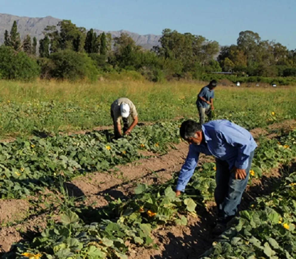 Si sos trabajador rural y necesitás la vacuna contra el COVID-19, esta info es para vos