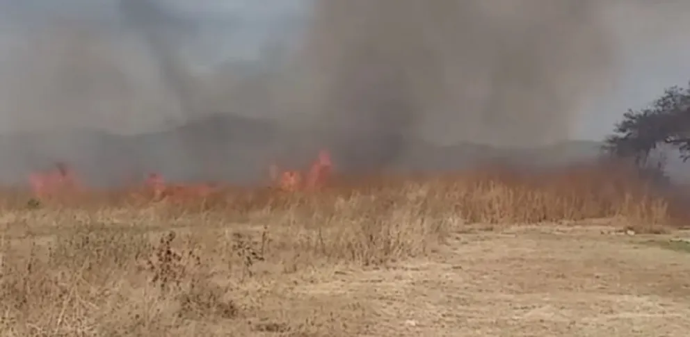 Incendio de pastizales en la zona sur: el fuerte viento complicó el trabajo de los bomberos