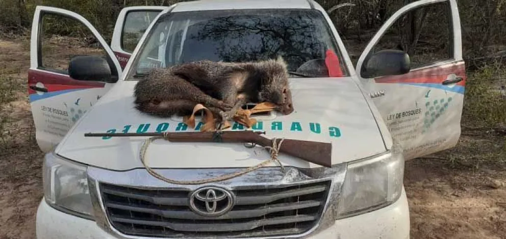 Detenidos por cazar animales en peligro de extinción