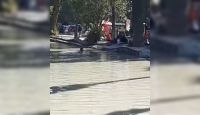 Salteños vieron algo extraño moviéndose en el lago del Parque San Martín y llamaron a la Policía