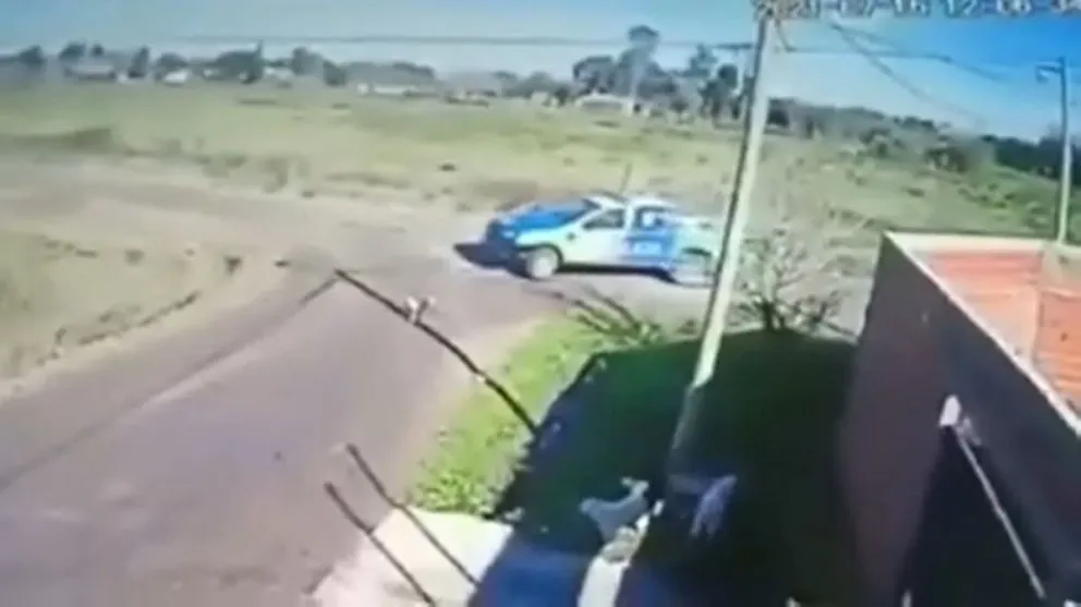 Quedó grabado por las cámaras: denuncian a policías por perseguir y atropellar a un perro