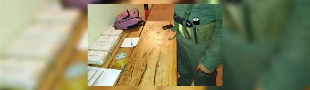 Golpe al narcotráfico en Salta: una mujer y dos hombres quisieron pasar varios kilos de cocaína en un remís