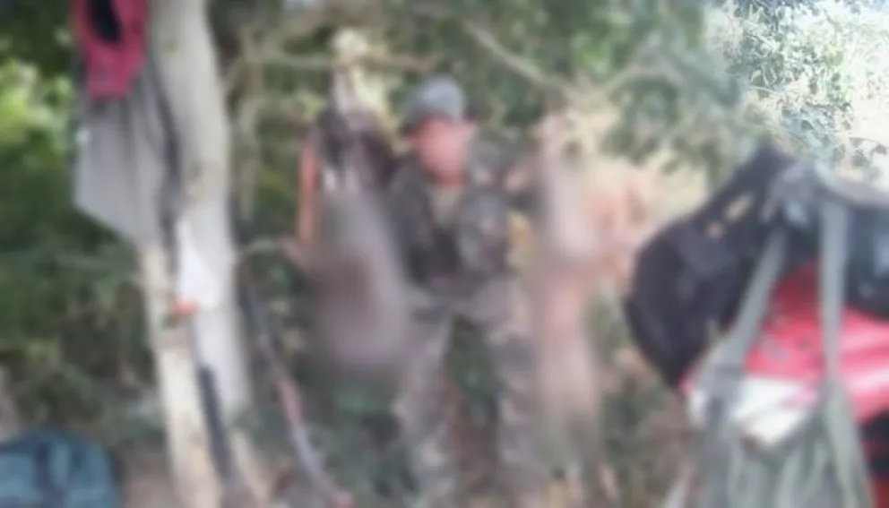 Subía fotos de animales muertos y armas: fue identificado y lo interceptaron
